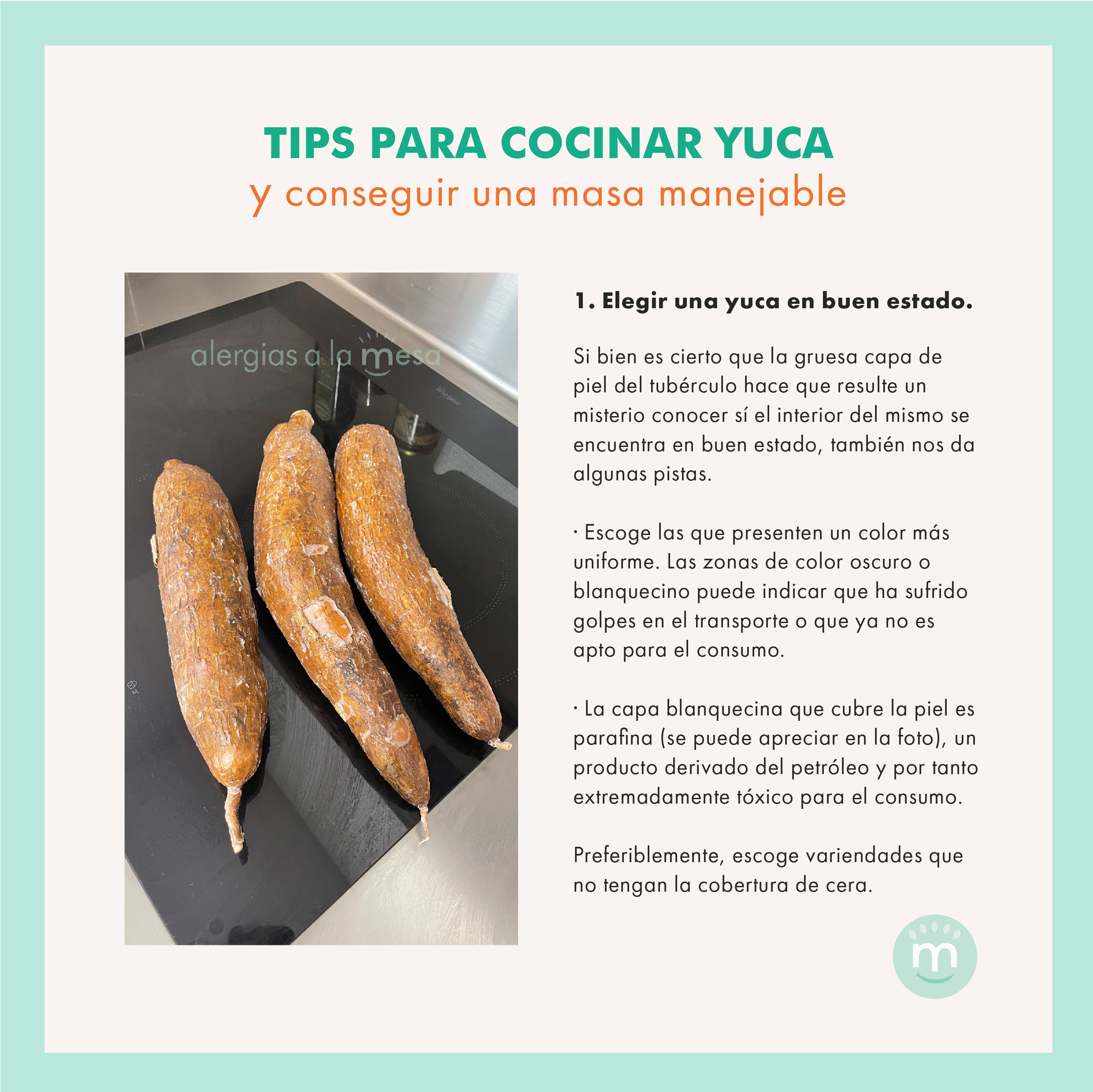 Imagen de tips para cocinar yuca y conseguir una masa manejable sobre elegir una yuca en buen estado
