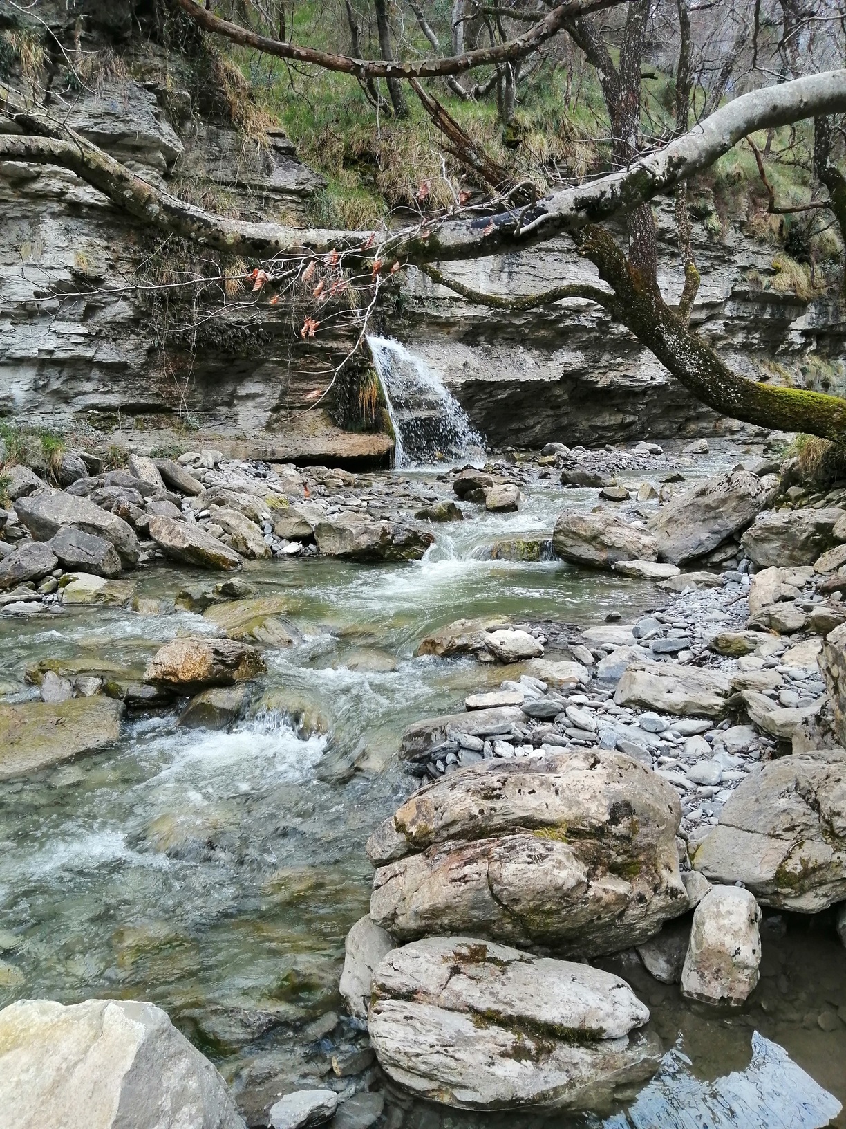 ¿Es segura el agua del grifo? Lo que debes saber